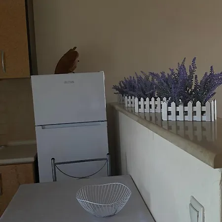 Mihalis * Nikiti (Sithonia)