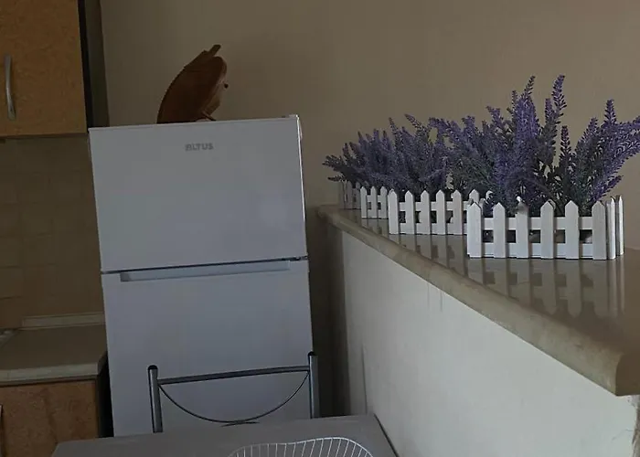 Mihalis * Nikiti (Sithonia)